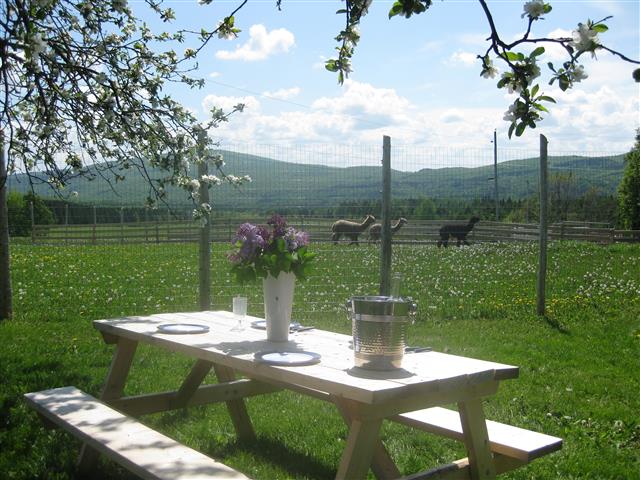 Réservez votre table à pique-nique