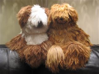 Peluches