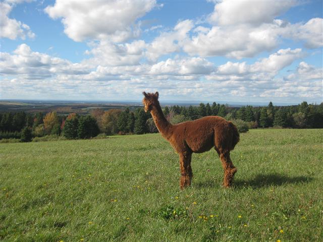 Vue panoramique